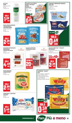 Pagina 13 del volantino Panorama Tante Offerte A 1€ 2€ 3€