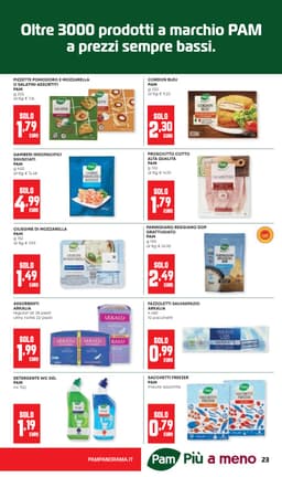 Pagina 23 del volantino Panorama Imperdibile Convenienza