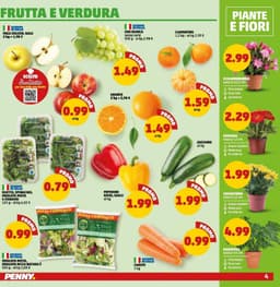 Pagina 4 del volantino Penny Offerte Shock