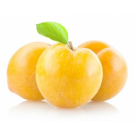 Susine gialle, al kg – Coop