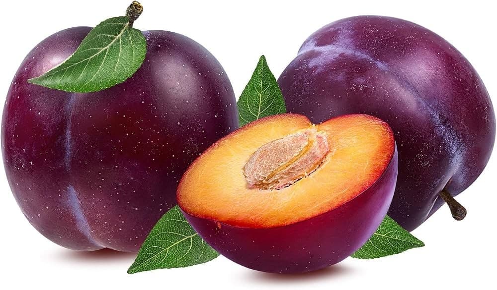 Susine lunghe, 500 g – Panorama