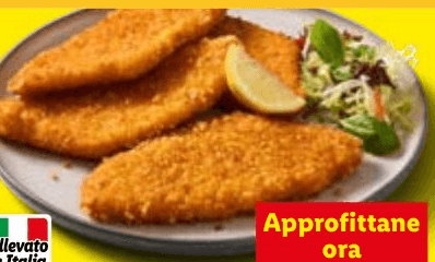 Cotoletta croccante di pollo XXL, 550 g – Lidl