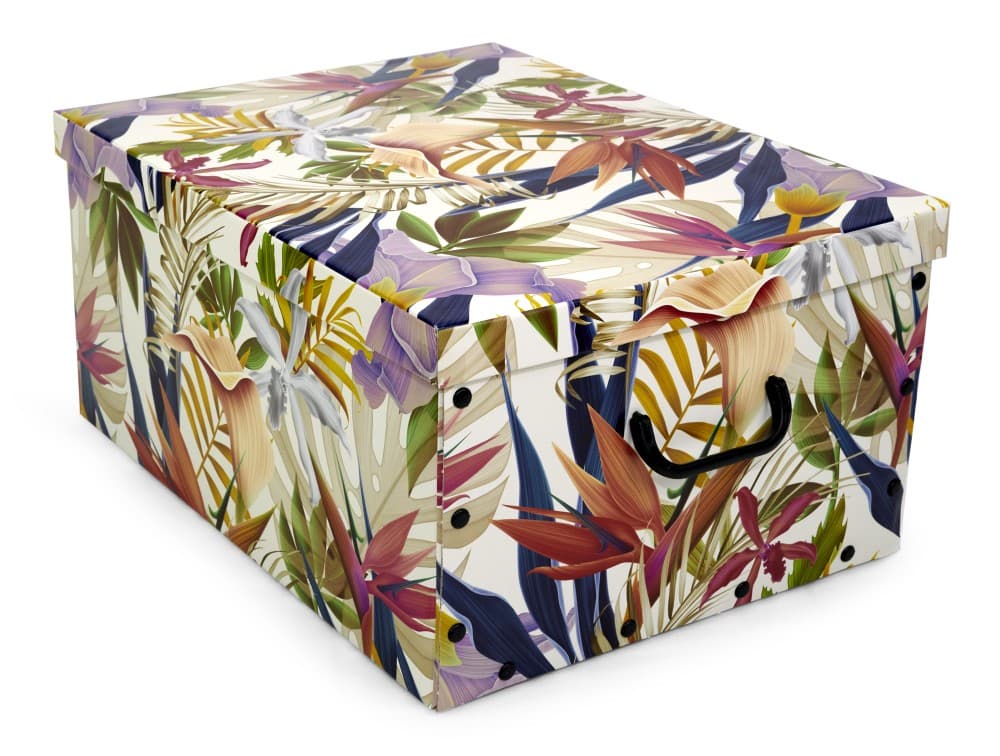 Big Box 50x40x25 cm Ordibox in offerta da Risparmio Casa