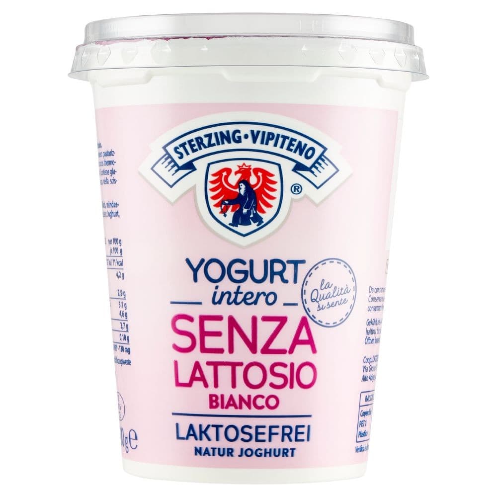 Yogurt bianco senza lattosio Vipiteno 500 g in offerta da Esselunga