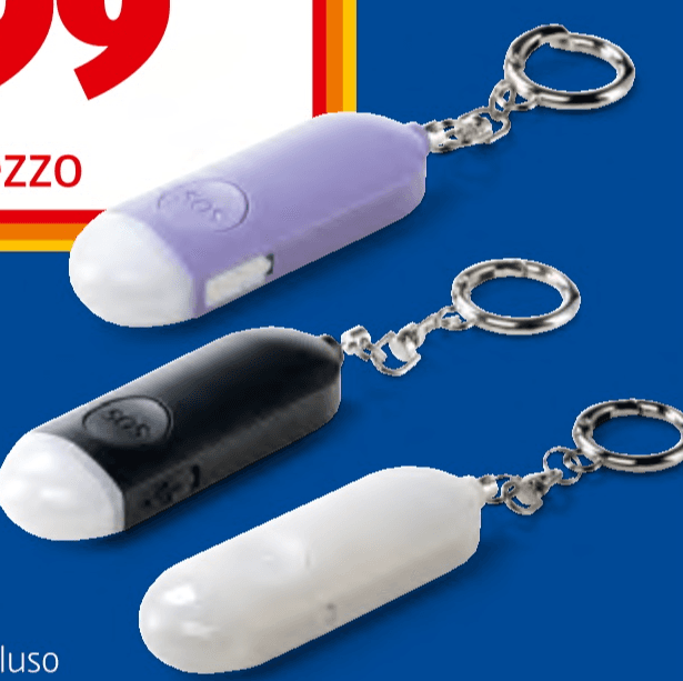 Workzone portachiavi con allarme in offerta da ALDI