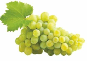 Uva bianca Vittoria in offerta da MD