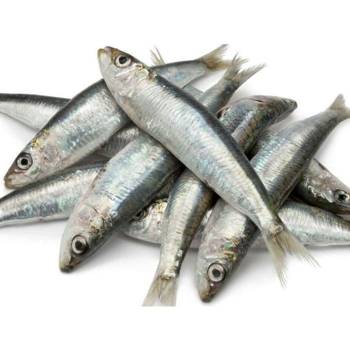 Sardine intere in offerta da Esselunga
