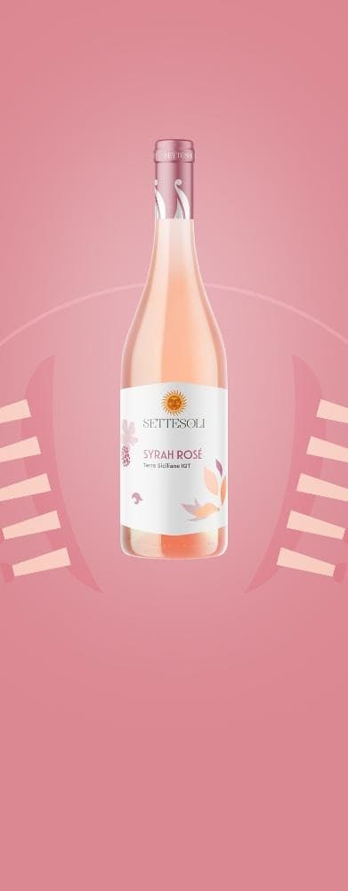 Chardonnay, Syrah Rosé Terre Siciliane IGT o Nero d'Avola, Grillo o Syrah Sicilia DOC Cantina Settesoli, 75 cl – Il Gigante