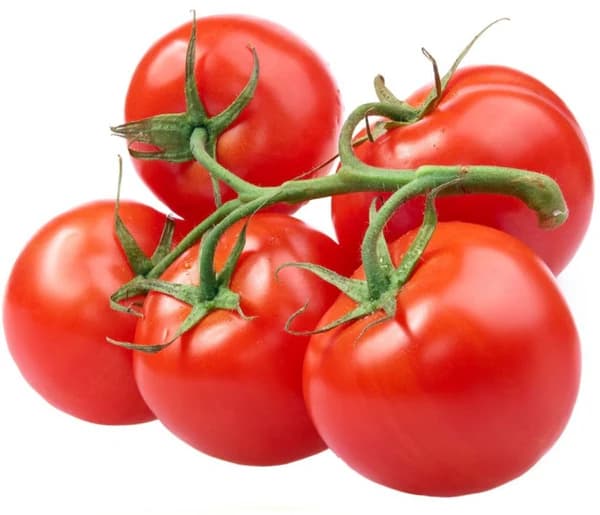 Pomodoro Ramato – Panorama