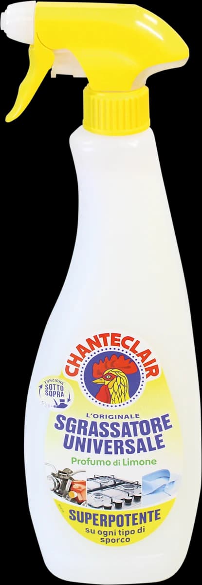 Prodotti Vileda e Chanteclair in offerta da Dm