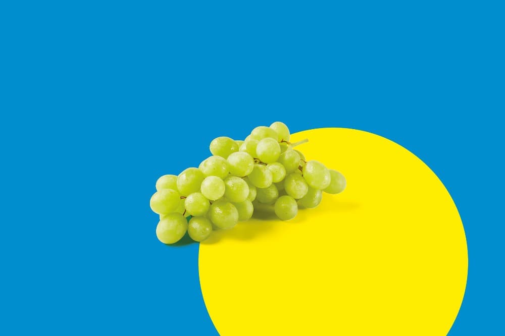 Limoni Interdonato di Messina IGP, 750 g confezione – Lidl