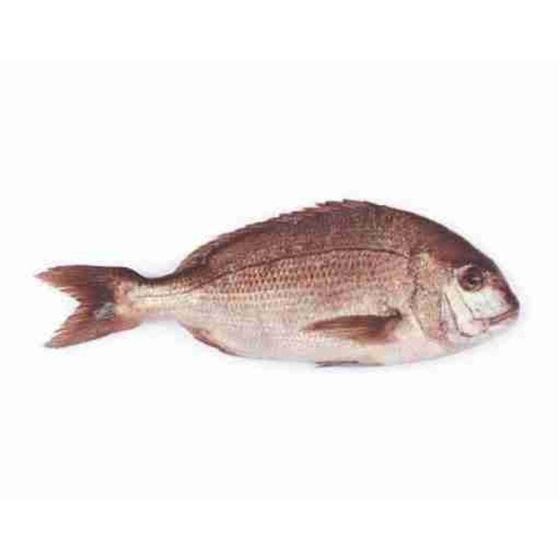 Pagro maggiore in offerta da Il Gigante