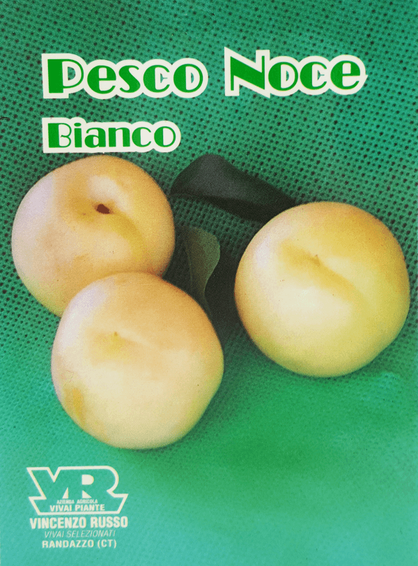 Pesche noci polpa bianca o pesche bianche in offerta da Bennet