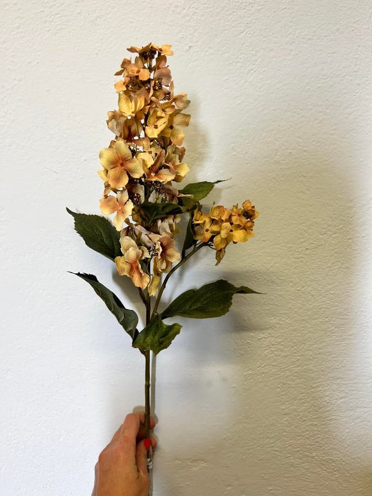 Ramo autunnale – MD