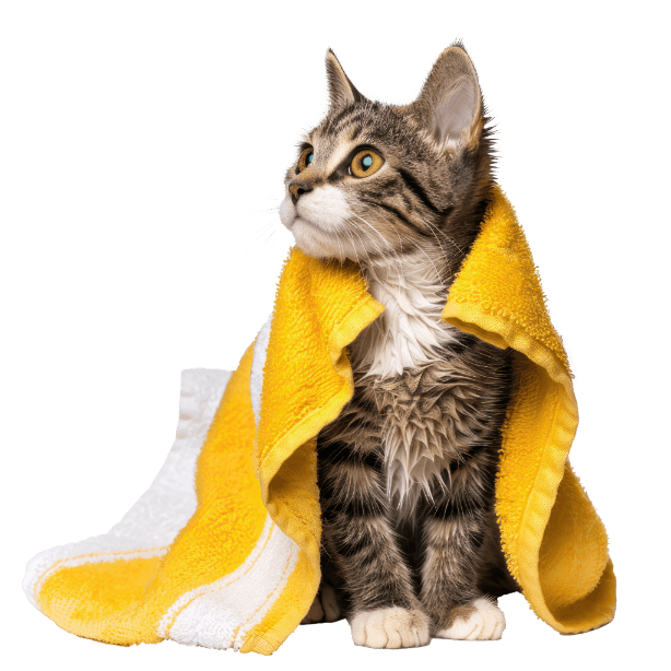 Kategorija proizvoda Cura dei gatti