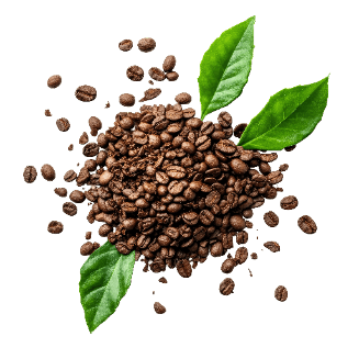 Kategorija proizvoda Caffè e tè