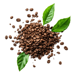 Caffè e tè