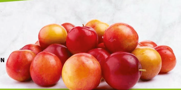 Susine October Sun I Colori del Sapore – ALDI