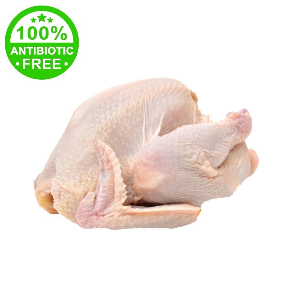 Gallina eviscerata allevata a terra – Bennet