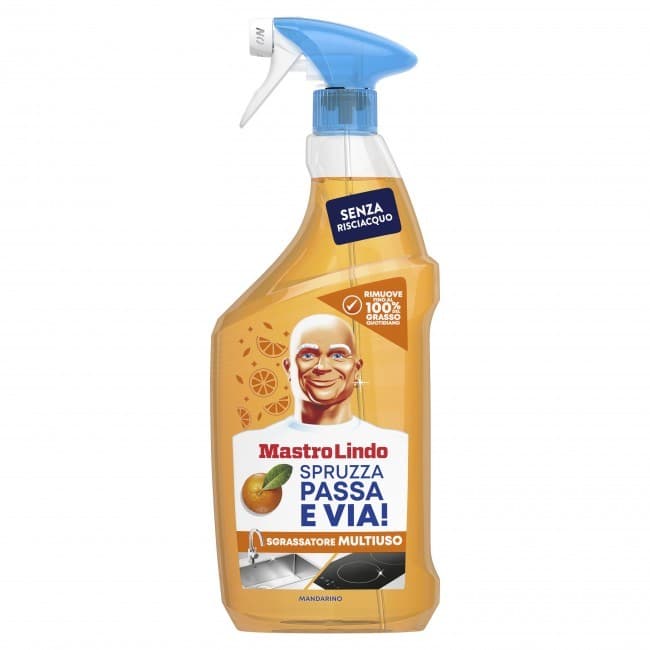 Sgrassatore spray MastroLindo, 800 ml – Carrefour