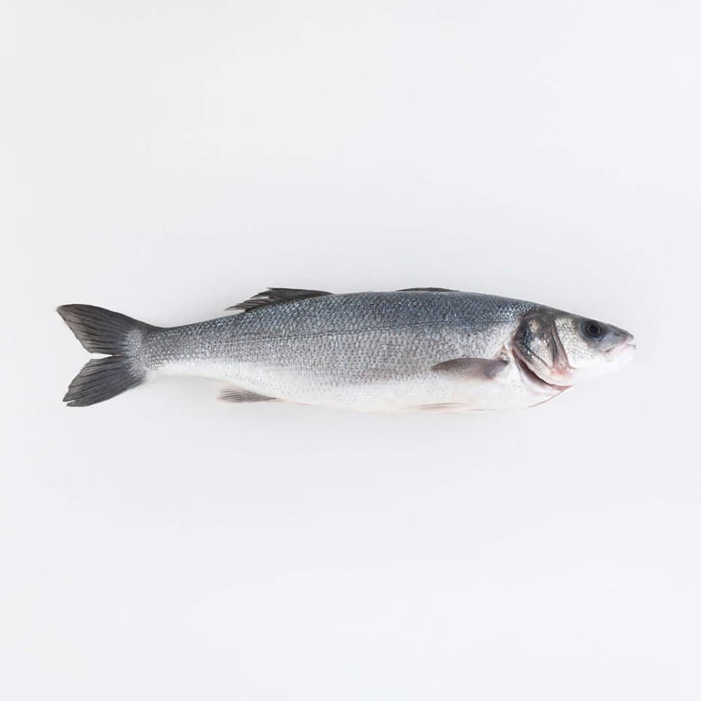 Branzino, 3 kg o più – Carrefour