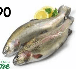 Trota iridea salmonata Filiera Valore Bennet, al kg – Bennet