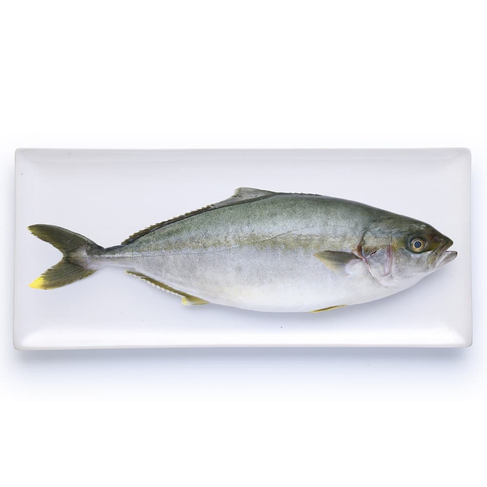 Ricciola in offerta da Carrefour
