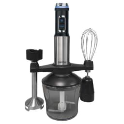 Frullatore immersione premium