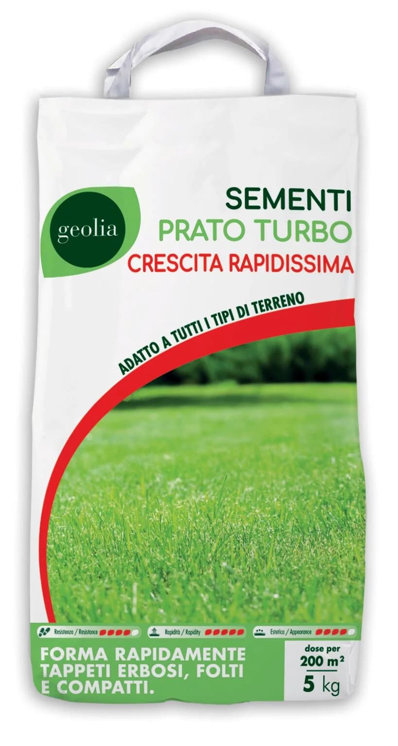 Sementi per prato Turbo, 5 kg Geolia – Leroy Merlin