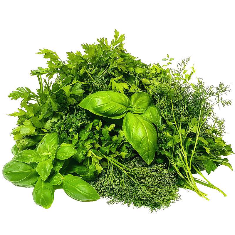 Kategorija proizvoda Erbe aromatiche