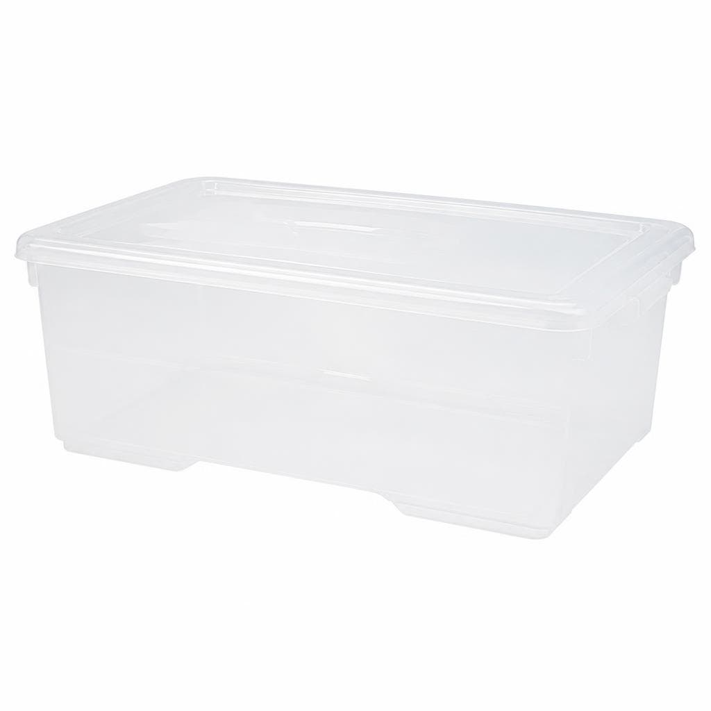Box trasparente senza ruote con coperchio 2 litri in offerta da Risparmio Casa