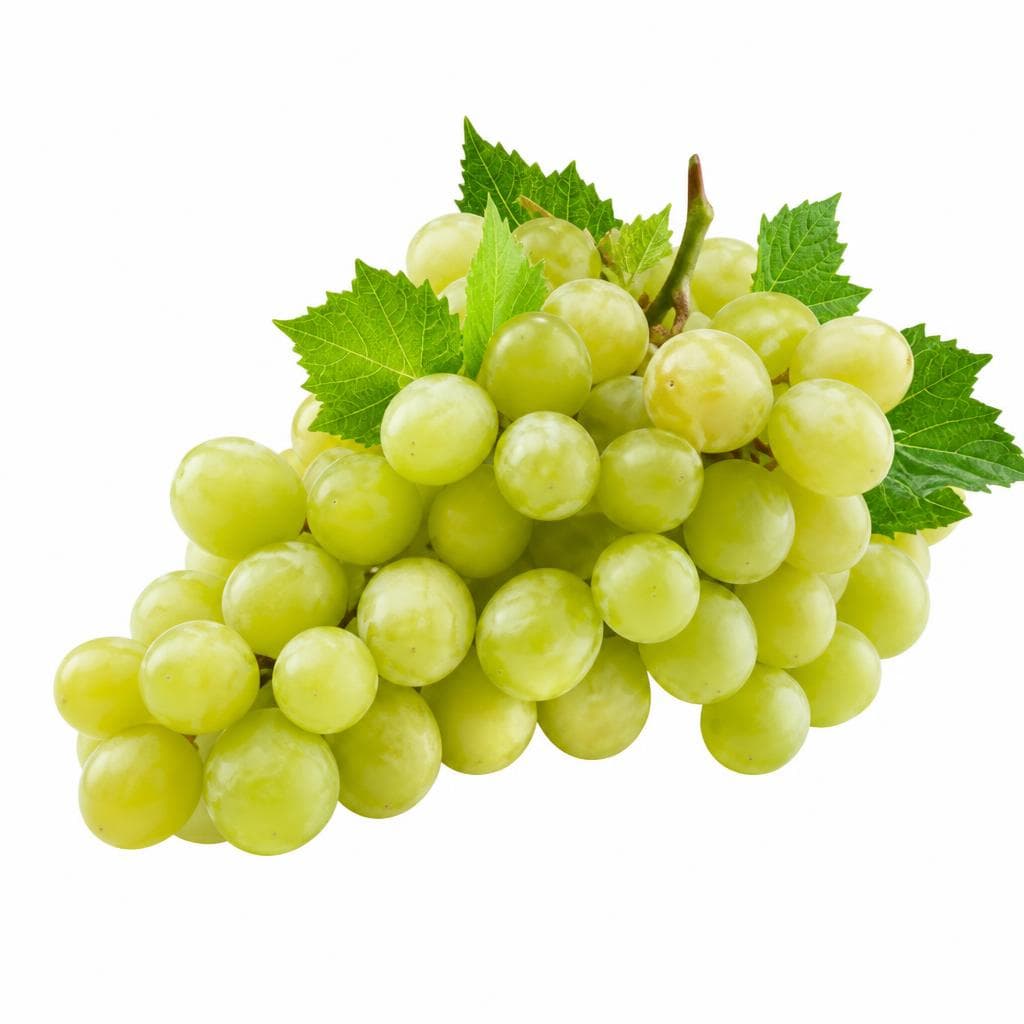Uva bianca senza semi, 500 g – Eurospin