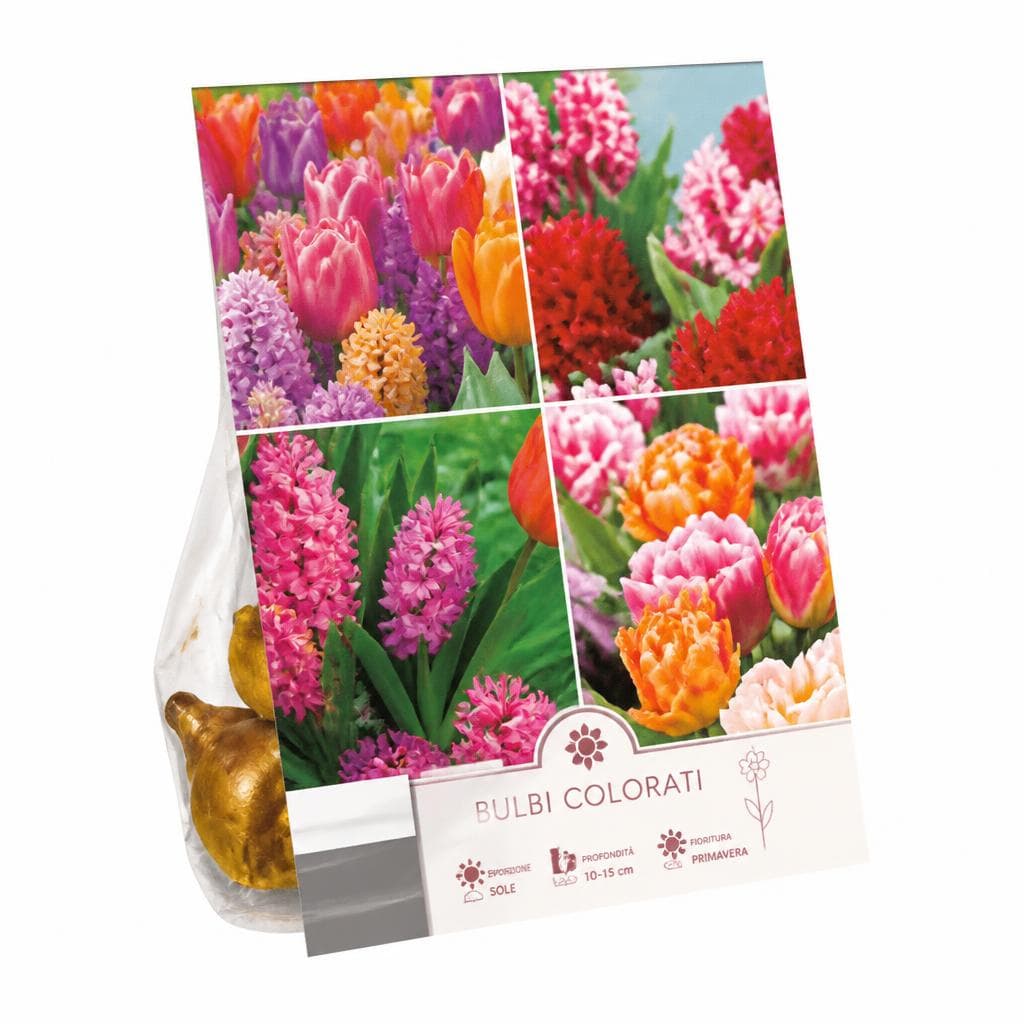 Bulbi colorati – Lidl