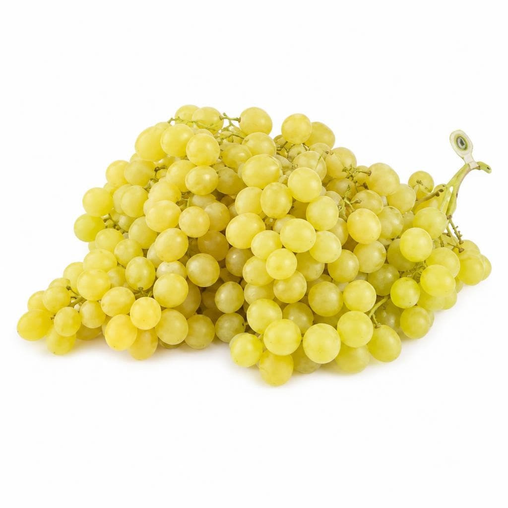 Uva Pizzutella bianca – Bennet