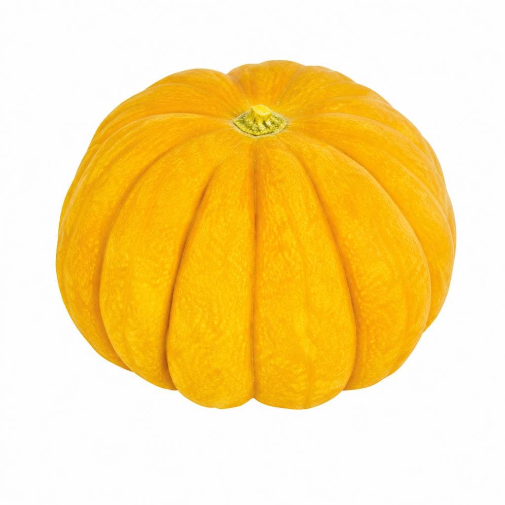 Zucca di Halloween – Bennet