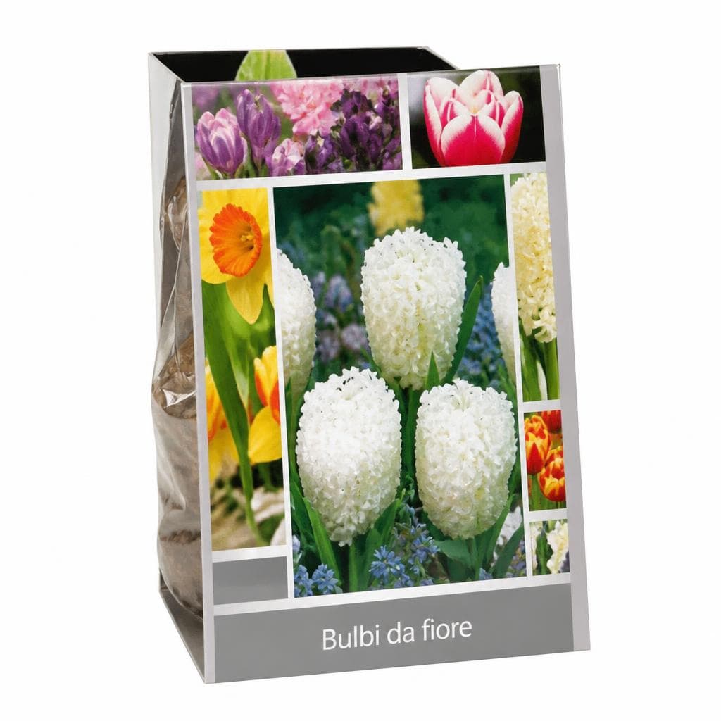 Bulbi da fiore – Lidl