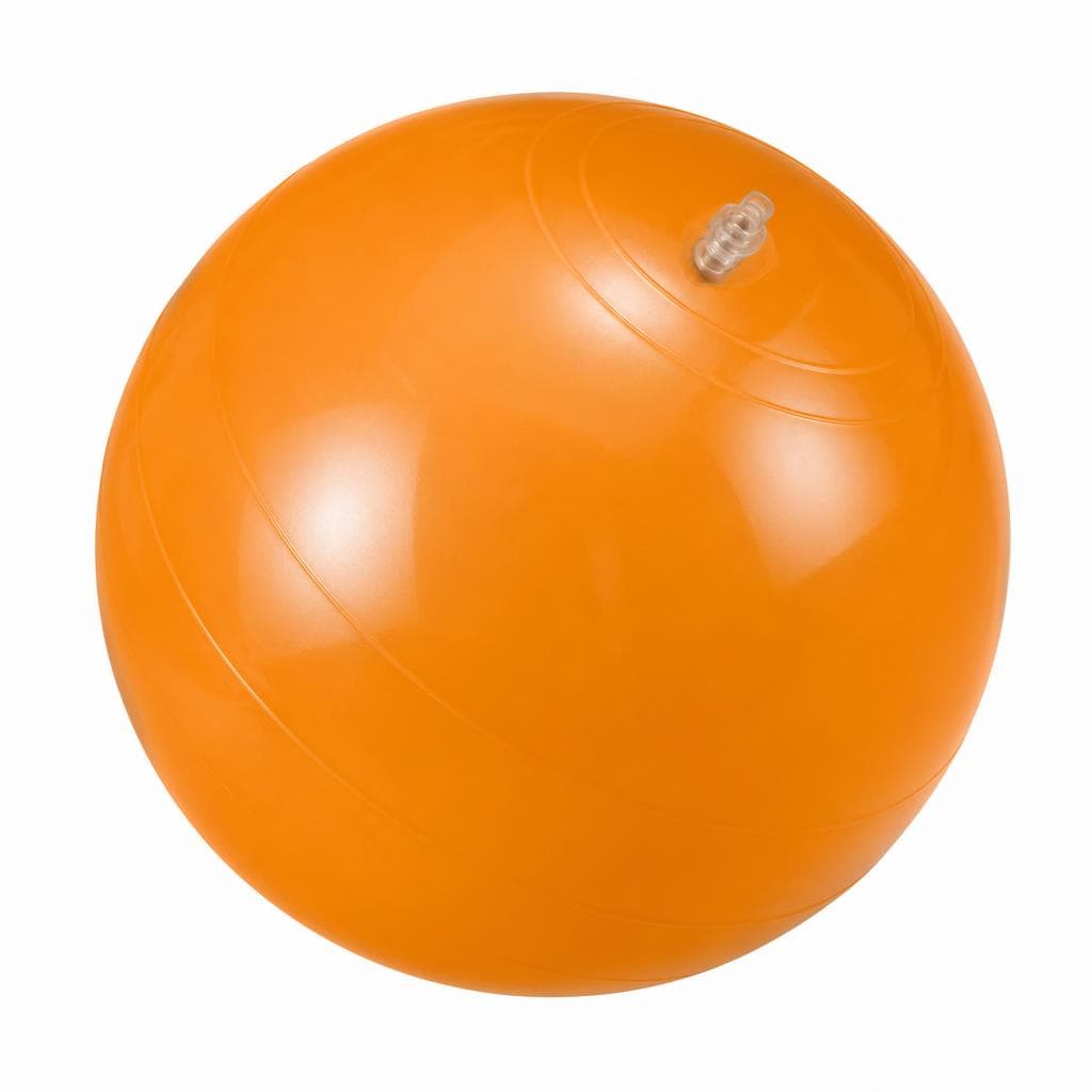 Palla ginnica, Ø 65 cm Gymline – Il Gigante
