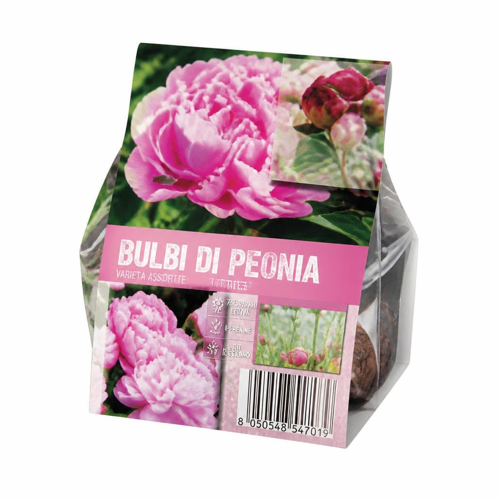 Bulbi di Peonia – Lidl