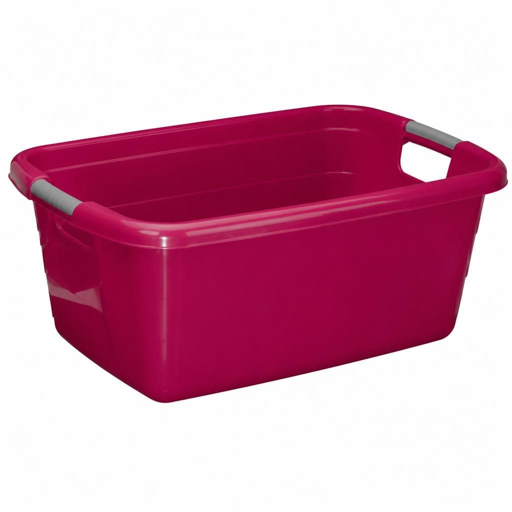 Contenitore per bucato, 40 L – Penny