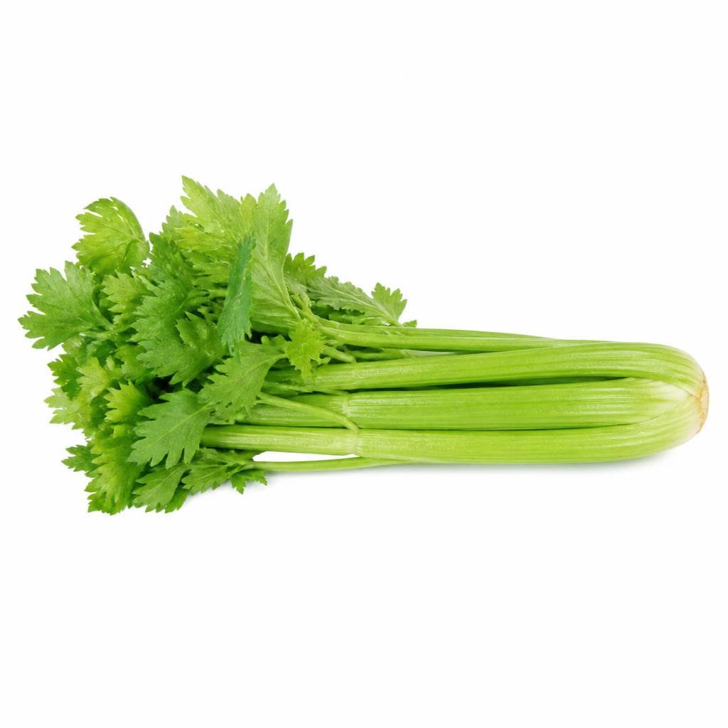 Sedano verde – Iper La grande i