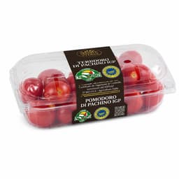 Pomodoro insalataro