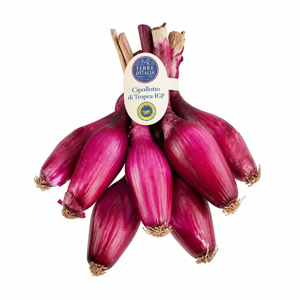 Cipollotto di Tropea IGP Terre d'Italia, 500 g – Carrefour