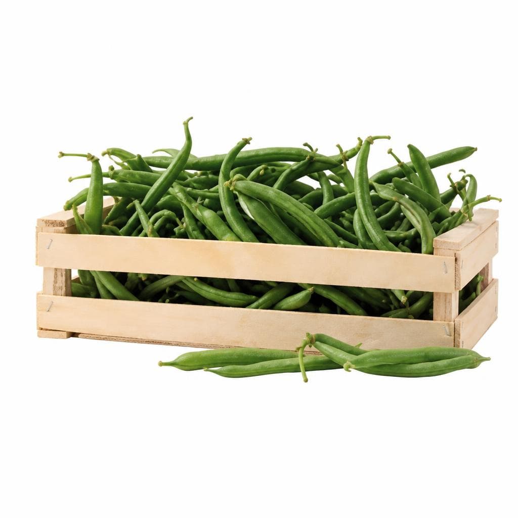 Boby Verdi, 500 g – Il Gigante