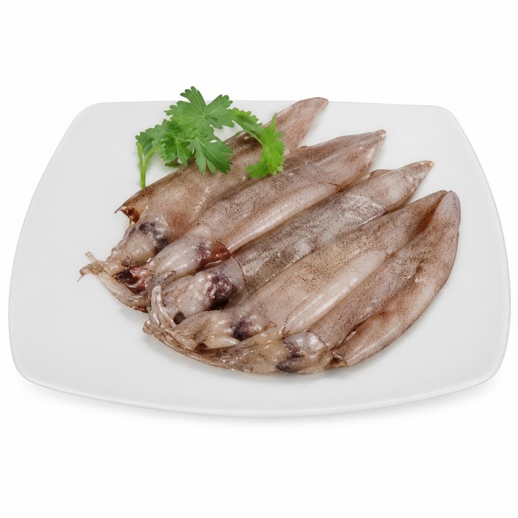Calamari – Panorama