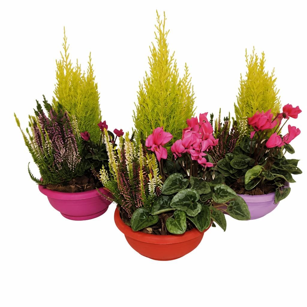 Ciotola autunnale 3 piante, vaso ø 20 cm H 45 cm – DeSpar