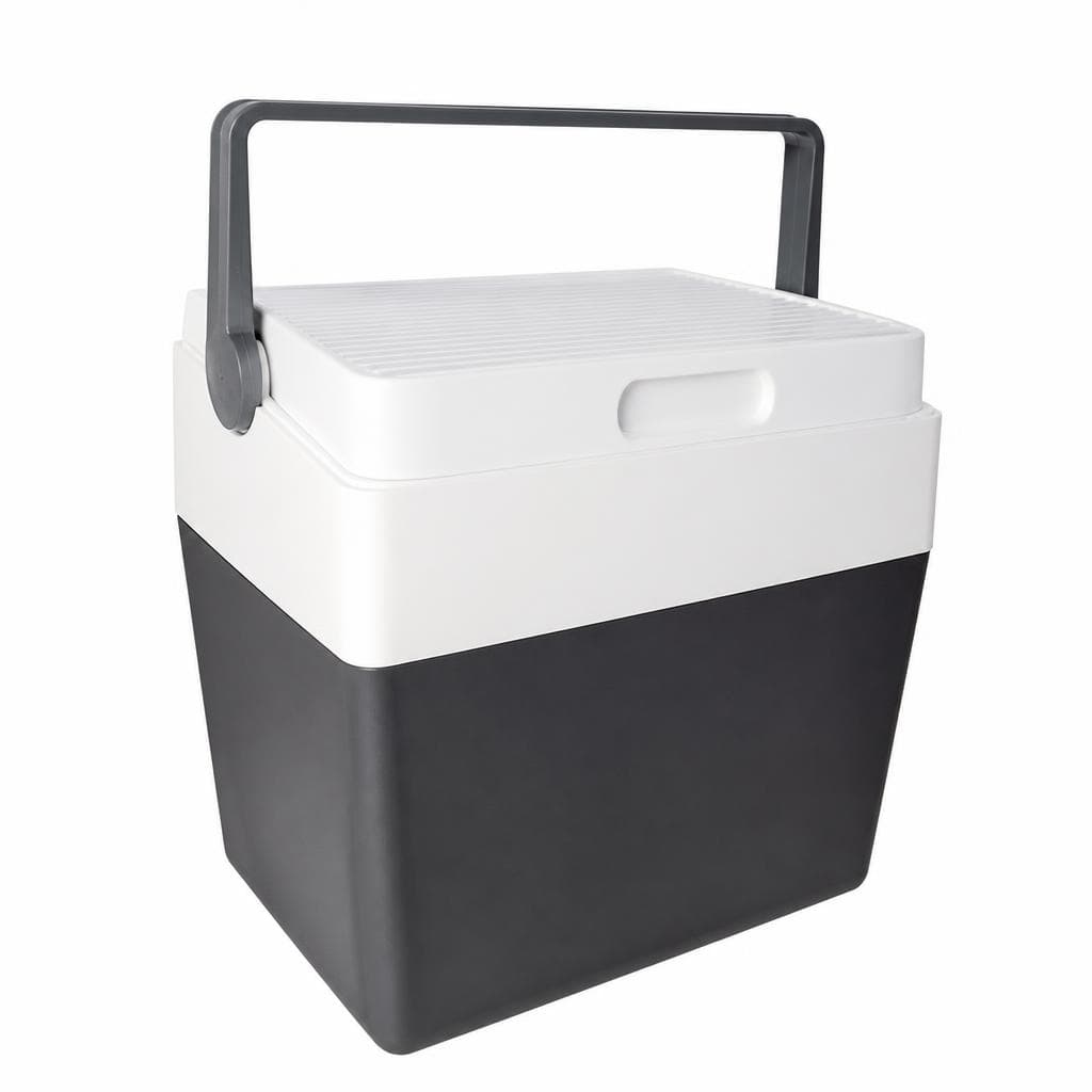 Frigobox elettrico 24 litri in offerta da Il Gigante