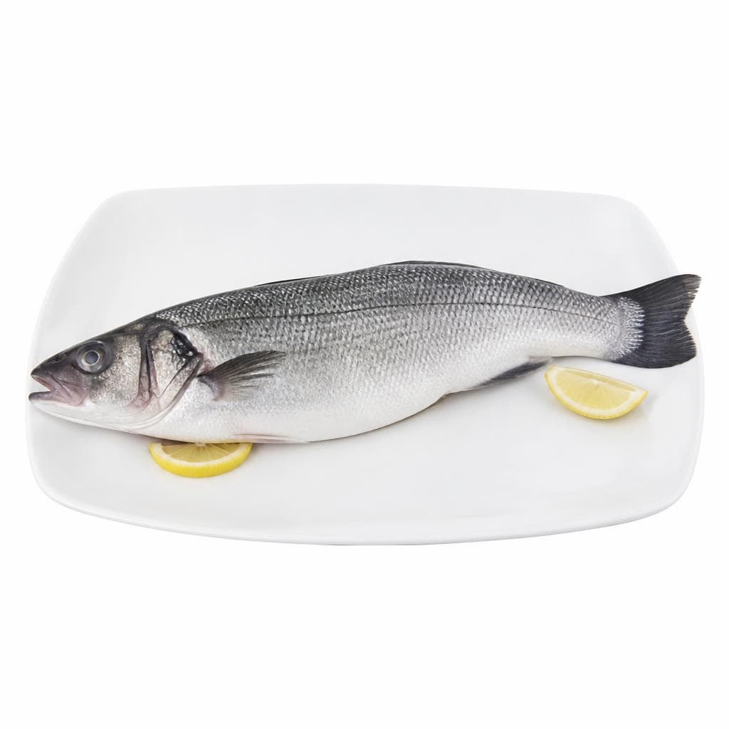 Branzino Tesori dell'Arca – Panorama