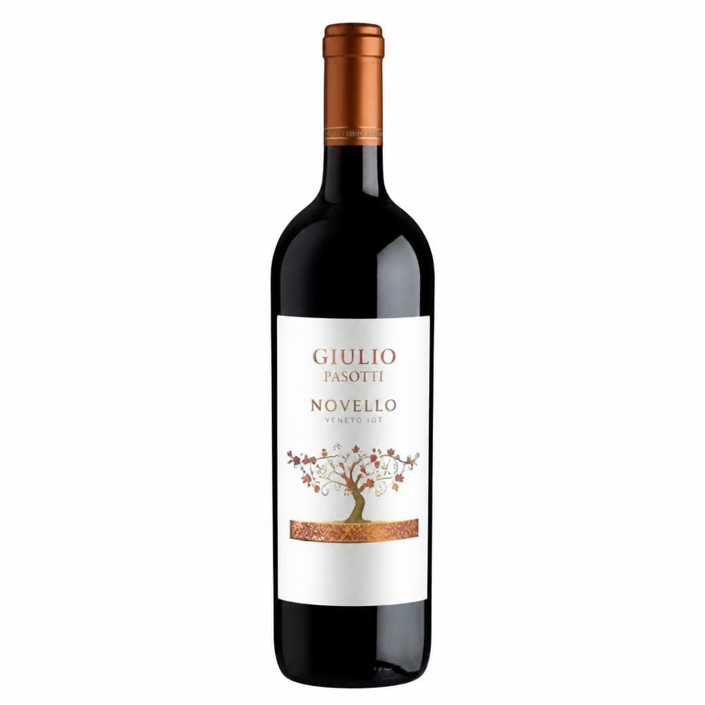 Giulio Pasotti Novello Veneto IGT, 750 ml bottiglia – Lidl