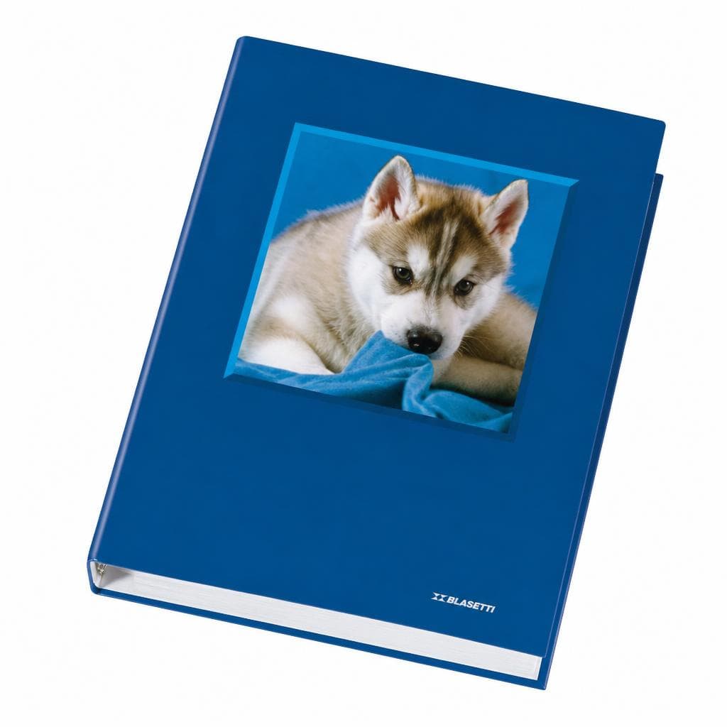 Raccoglitore 4 anelli Blasetti in offerta da Carrefour