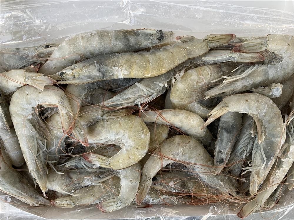 Mazzancolle tropicali intere in offerta da Panorama